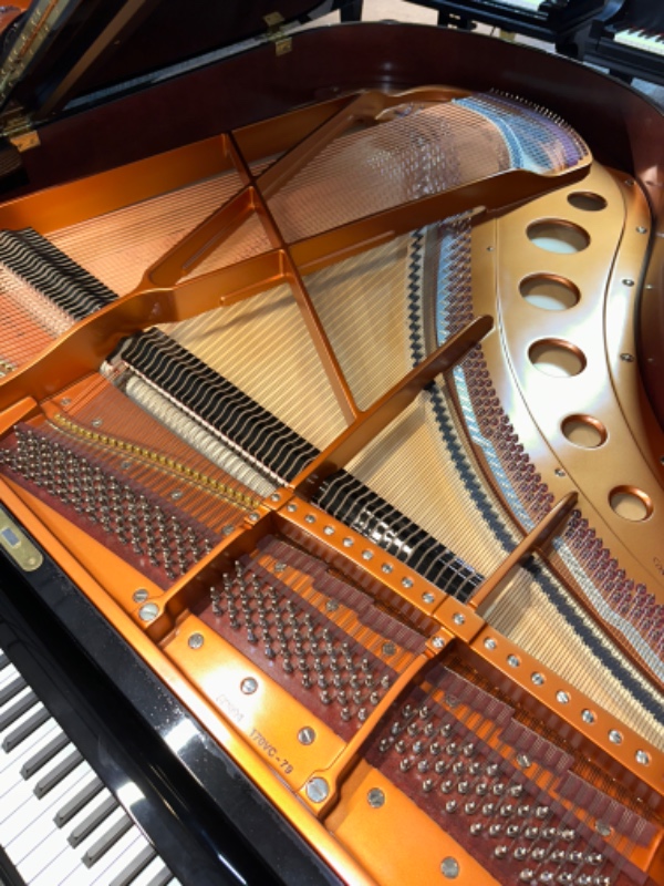 Additional image for Bosendorfer 170 VC